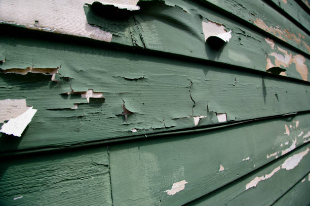 Best Commercial Junk Removal  in Walkerton, IN